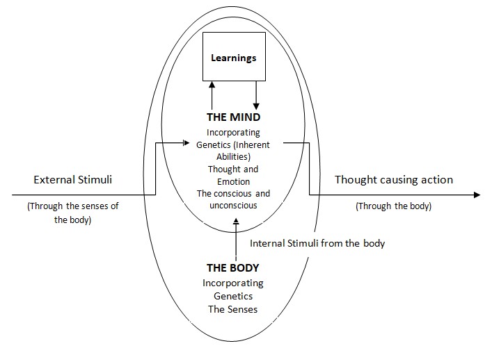 Diagrammatic representation of the mind, body and the interaction with stimuli and causation.